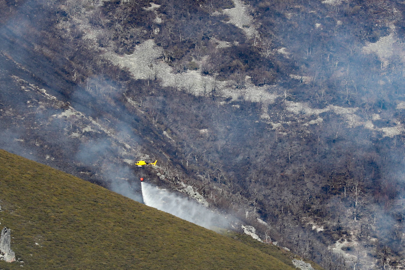 La rápida actuación de los servicios de emergencias impidió que el incendio entrase en la reserva natural de Muniellos, situada en la vertiente inmediatamente aledaña a la zona donde se estaba produciendo el fuego, que tiene todos las indicios de haber sido provocado, como comentaron algunos vecinos de la zona.