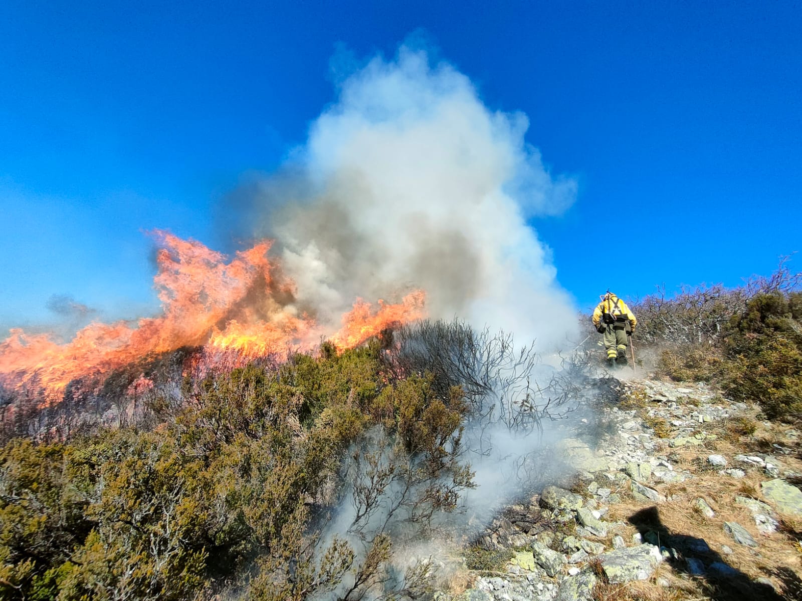 La rápida actuación de los servicios de emergencias impidió que el incendio entrase en la reserva natural de Muniellos, situada en la vertiente inmediatamente aledaña a la zona donde se estaba produciendo el fuego, que tiene todos las indicios de haber sido provocado, como comentaron algunos vecinos de la zona.