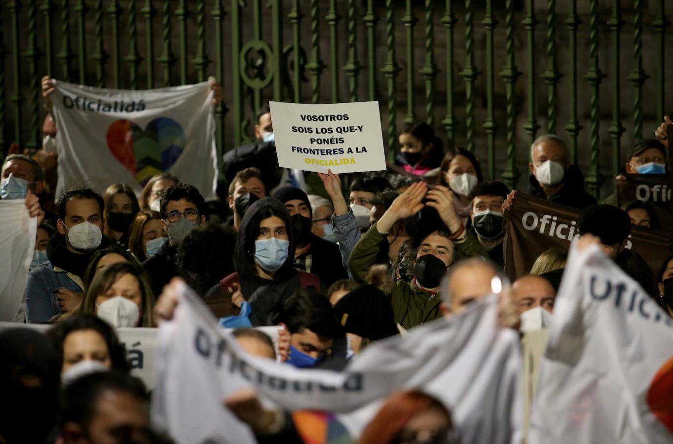 Multitud de manifestantes proclamaron su posición a favor de la oficialidad del asturiano en los alrededores de la Junta General.