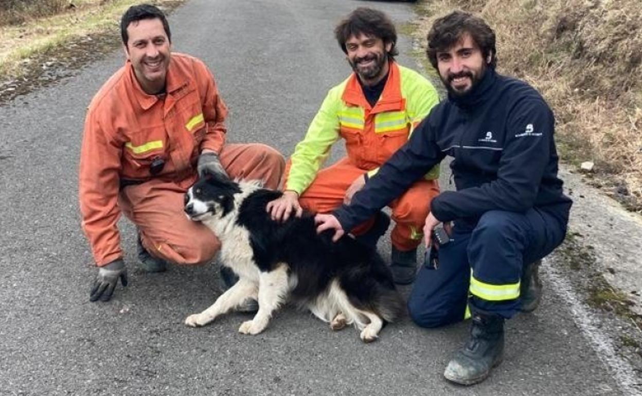 Los efectivos de Bomberos de Asturias con 'Becky', el perro rescatado en Cangas de Onís.