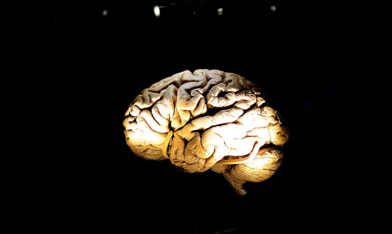 Encuentran el punto C, el área del cerebro donde se activa el placer sexual femenino
