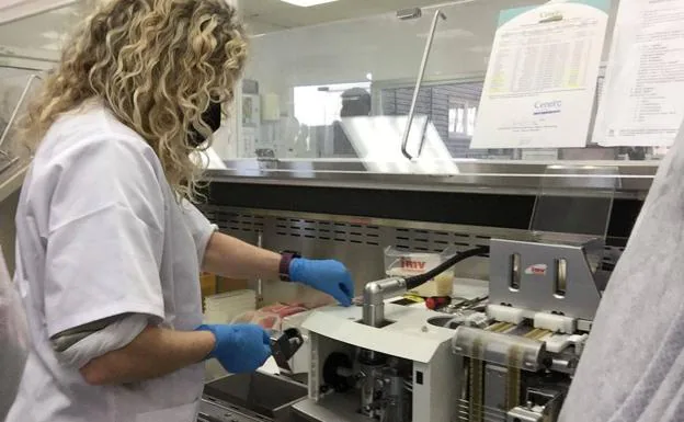 Una técnico de laboratorio prepara cánulas de inseminación procedentes de los sementales de Ascol