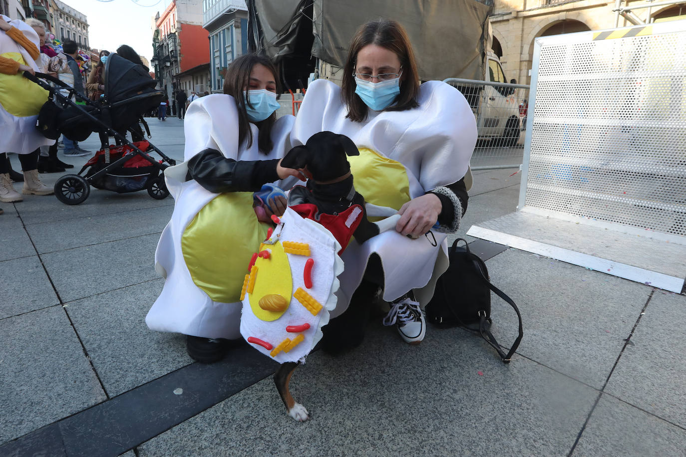 Fotos: Las mascotas se antroxan en Avilés