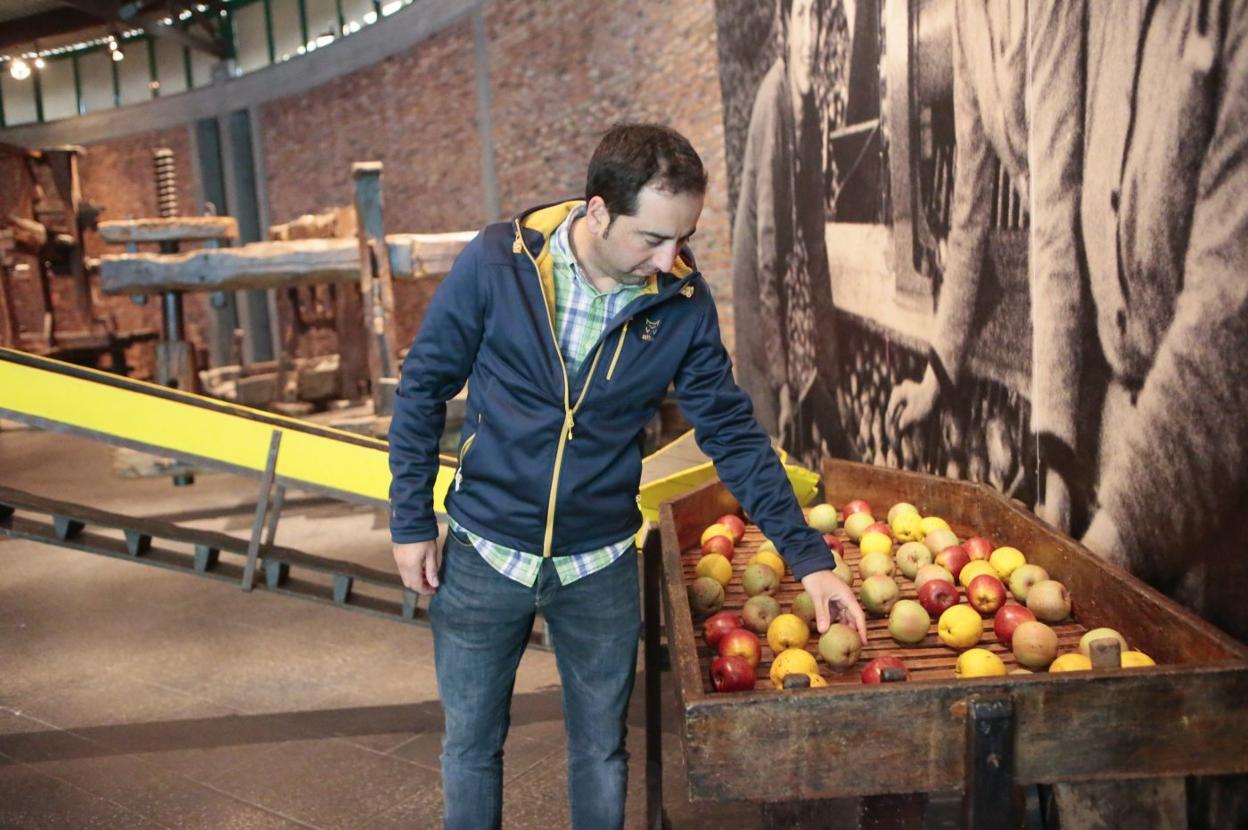 El concejal naveto Jairo Palacios realiza las últimas comprobaciones en el Museo de la Sidra antes de su reapertura. 