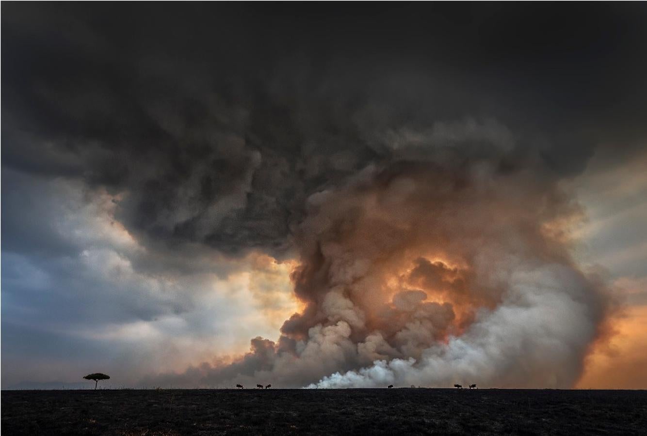 'The Big Fiire', de Marco Gaiotti (Italia). Premio absoluto 32 MML.