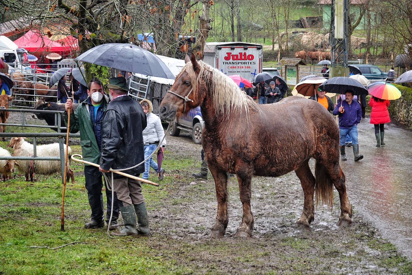 Lluvia, menos reses que ne otras ediciones y preocupación por los costes. Así ha sido la segunda Feria de Corao celebrada este año. Si bien los precios han repuntado ligeramente, el aumento ha sido tímido, de entre 20 y 50 euros según cifraron los profesionales. En este sentido, José Antonio García 'Toño el de Mestas' ha apuntado a una «una ligera subida», si bien ha lamentado que los precios «no acaban de arrancar»