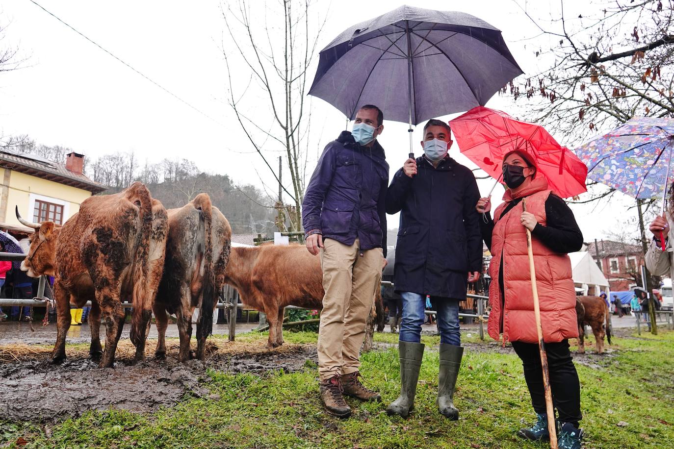 Lluvia, menos reses que ne otras ediciones y preocupación por los costes. Así ha sido la segunda Feria de Corao celebrada este año. Si bien los precios han repuntado ligeramente, el aumento ha sido tímido, de entre 20 y 50 euros según cifraron los profesionales. En este sentido, José Antonio García 'Toño el de Mestas' ha apuntado a una «una ligera subida», si bien ha lamentado que los precios «no acaban de arrancar»