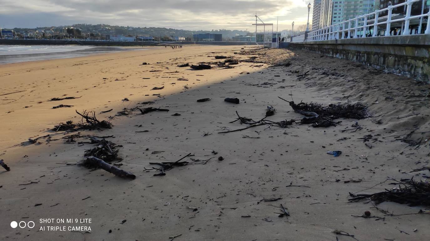 Personal de la Empresa Municipal de Limpieza del Ayuntamiento de Gijón (Emulsa) ha retirado un total de 4.600 kilos de madera acumulada en la playa gijonesa que acumuló «gran cantidad de ramas y troncos» que fueron arrastrados por el río Piles hasta el arenal a causa del temporal de los últimos días. 