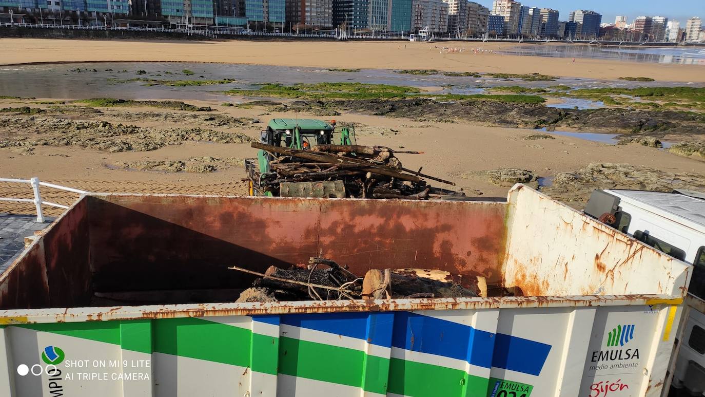 Personal de la Empresa Municipal de Limpieza del Ayuntamiento de Gijón (Emulsa) ha retirado un total de 4.600 kilos de madera acumulada en la playa gijonesa que acumuló «gran cantidad de ramas y troncos» que fueron arrastrados por el río Piles hasta el arenal a causa del temporal de los últimos días. 