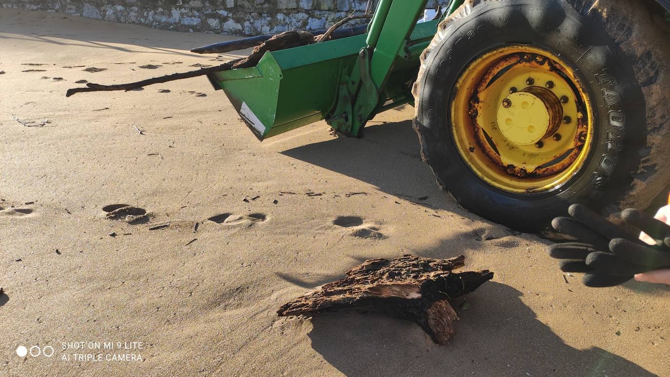 Personal de la Empresa Municipal de Limpieza del Ayuntamiento de Gijón (Emulsa) ha retirado un total de 4.600 kilos de madera acumulada en la playa gijonesa que acumuló «gran cantidad de ramas y troncos» que fueron arrastrados por el río Piles hasta el arenal a causa del temporal de los últimos días. 