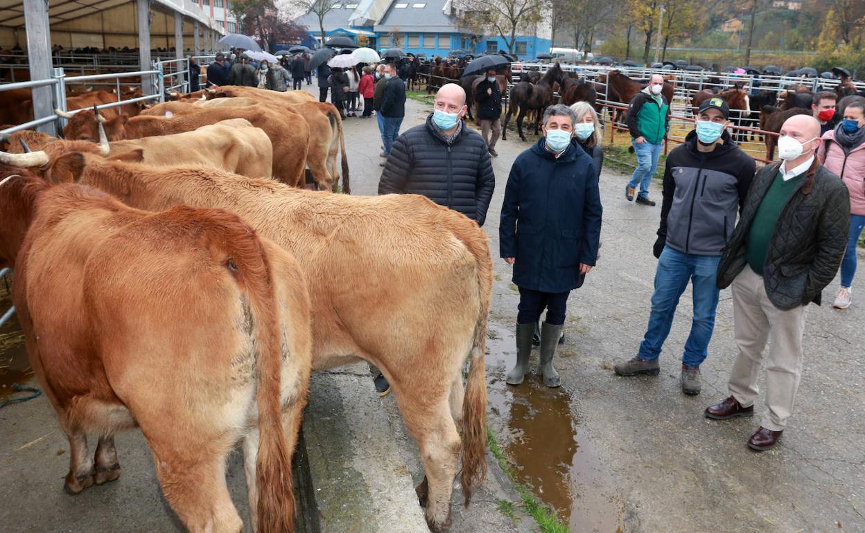 Alejandro Calvo, en una visita al mercado de ganado de Cabañaquinta.