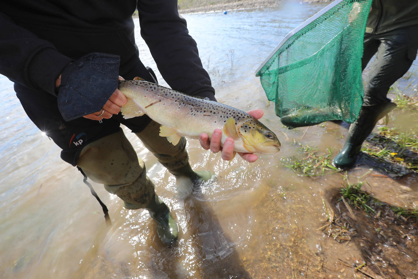 Fotos: La trucha vuelve a La Granda