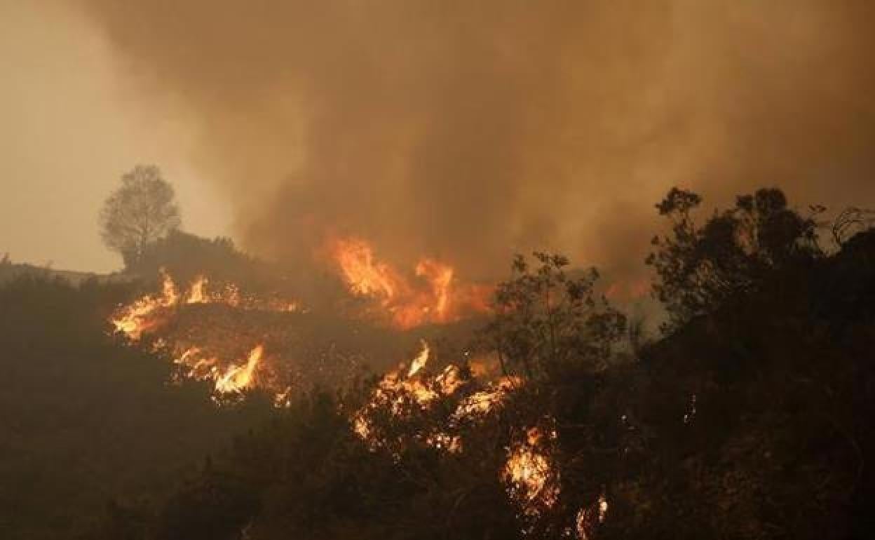 Una imagen de archivo de un incendio en el occidente asturiano.