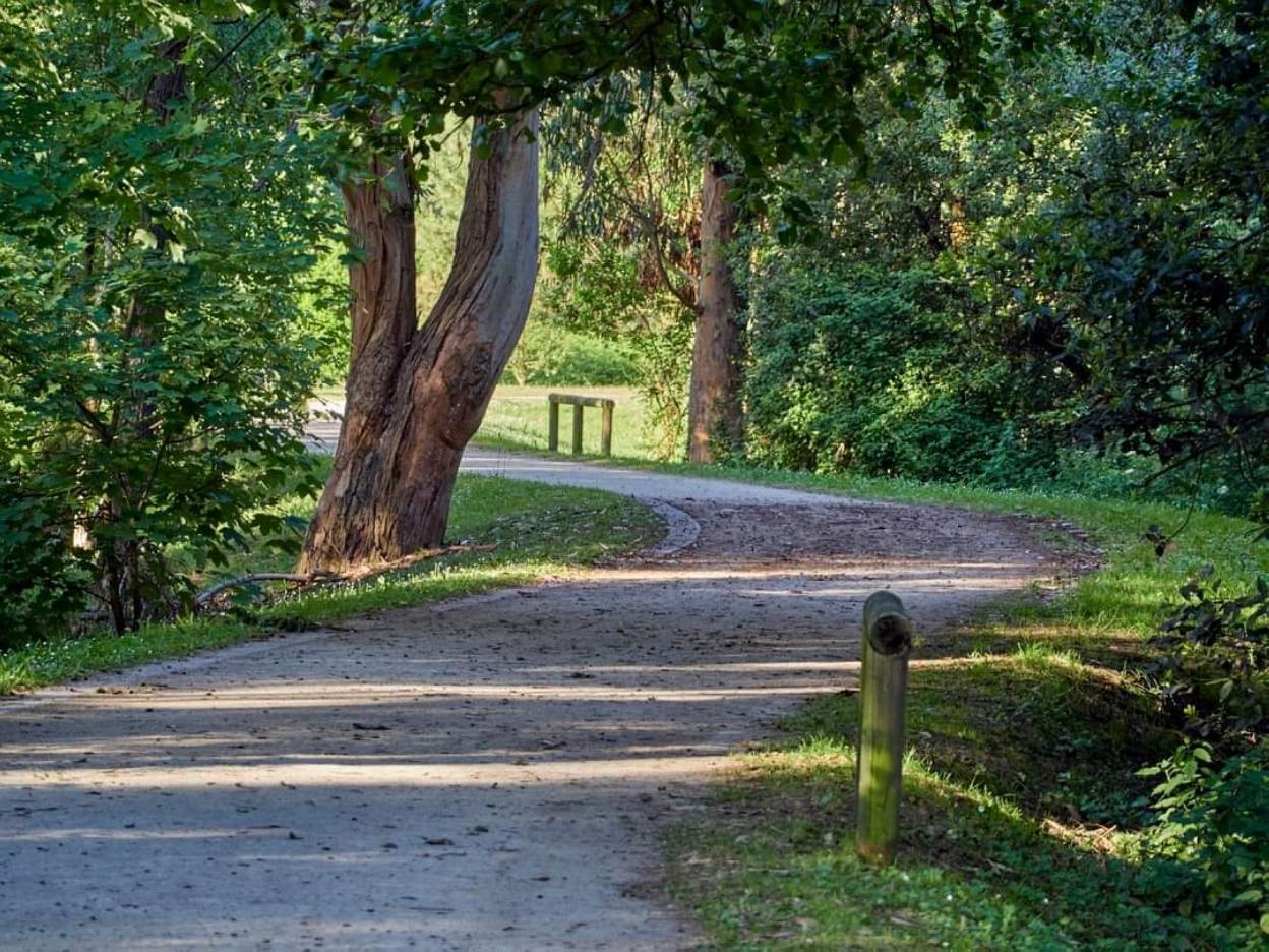 La Senda Verde del Agua será uno de los espacios señalados. 