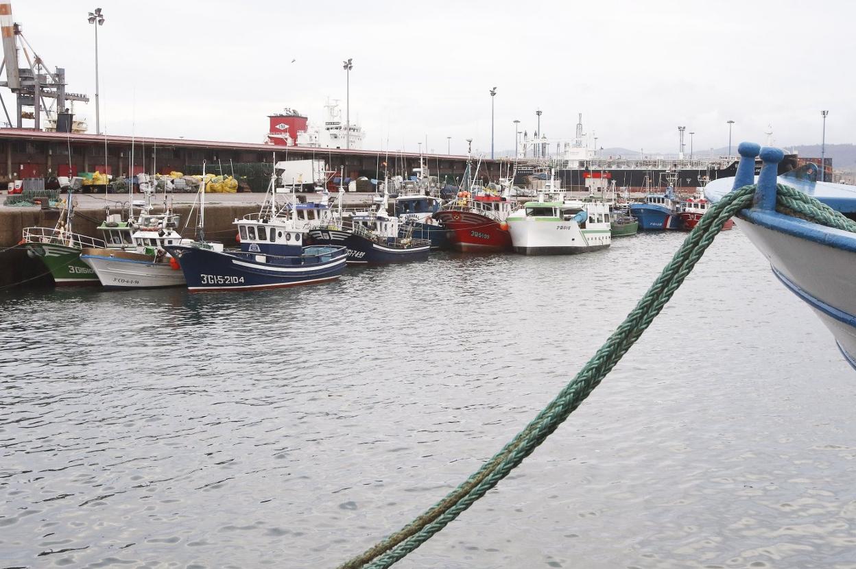 La flota pesquera de Gijón, amarrada a puerto. 