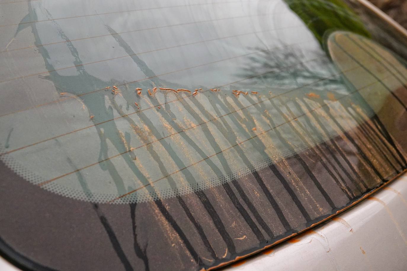 La nube de polvo sahariano continúa tiñendo de naranja los cielos de la región, a pesar la lluvia caída en las últimas horas que no ha servido para hacer remitir la calima.