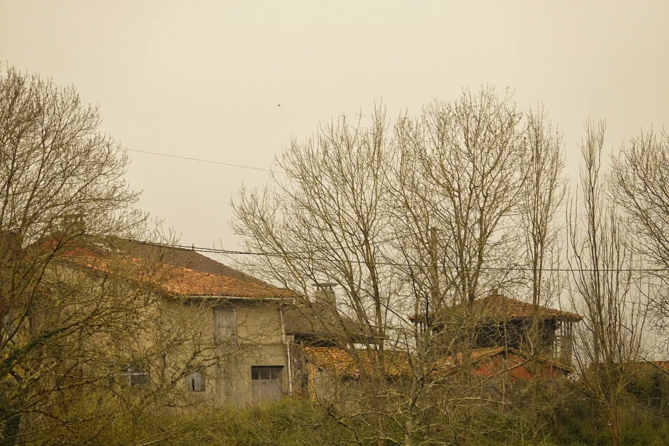 La nube de polvo sahariano continúa tiñendo de naranja los cielos de la región, a pesar la lluvia caída en las últimas horas que no ha servido para hacer remitir la calima.