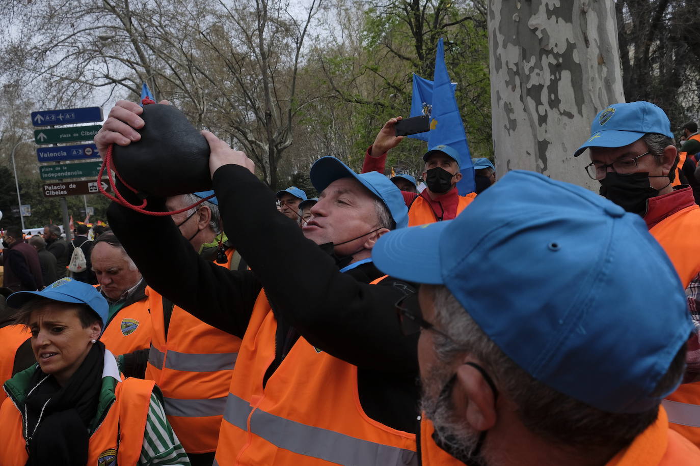 Decenas de miles de personas han tomado las calles de Madrid en una petición desesperada de auxilio al Gobierno por su supervivencia.