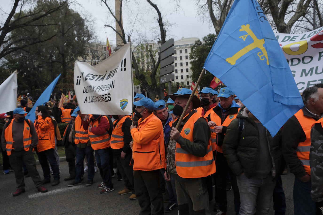 Decenas de miles de personas han tomado las calles de Madrid en una petición desesperada de auxilio al Gobierno por su supervivencia.