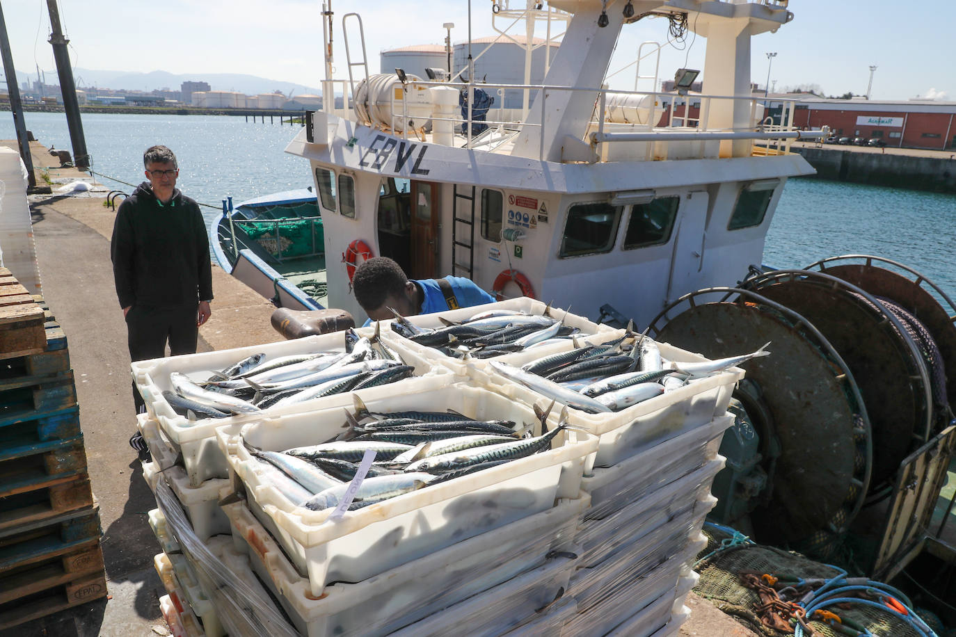 Después de tres días de amarre, la flota volvía este jueves a faenar. Al menos hasta el martes. En Gijón, entraba un barco a descargar xarda, cuya temporada comenzó a finales del mes de febrero.