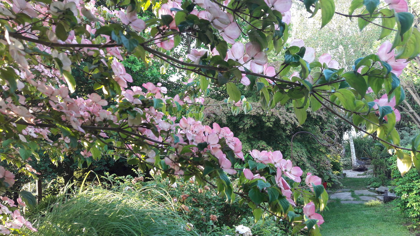 Arbolado en plena floración de El Jardín de Margarita