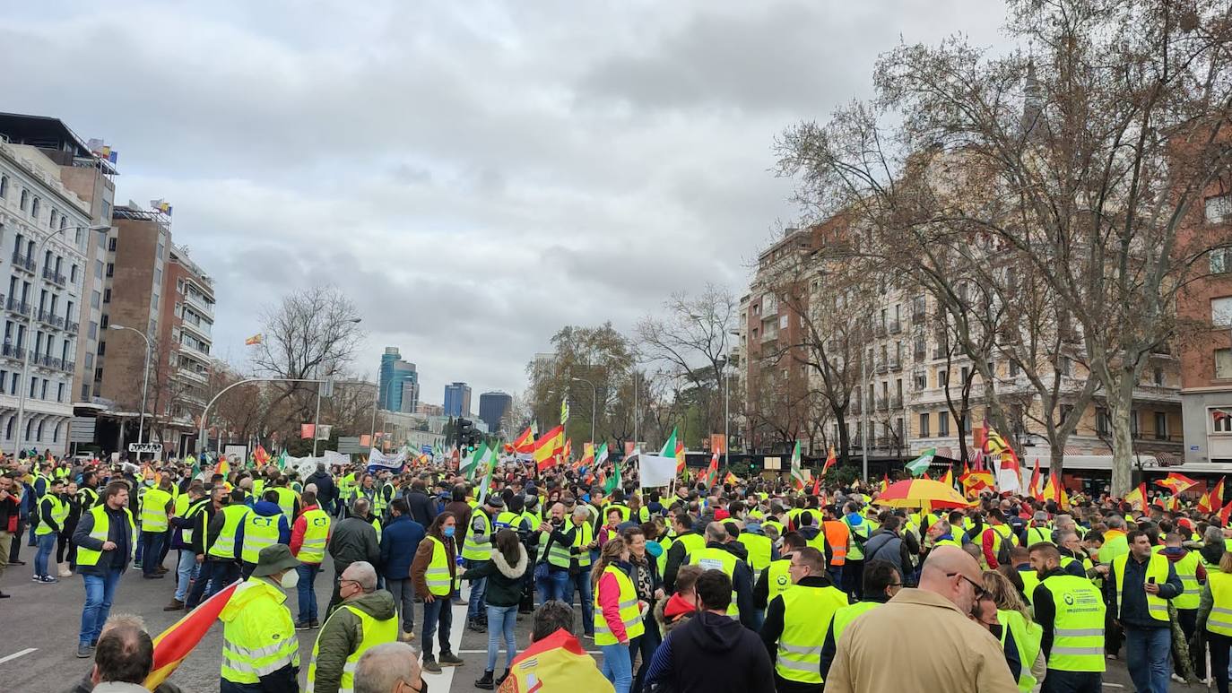 «Están eludiendo el problema de fondo, no estamos pidiendo subvenciones, sino unos precios garantizados para cubrir nuestros costes de explotación», señalan los transportistas, entre los que se encontraba un buen grupo de asturianos que se han trasladado a la capital para secundar la protesta. 