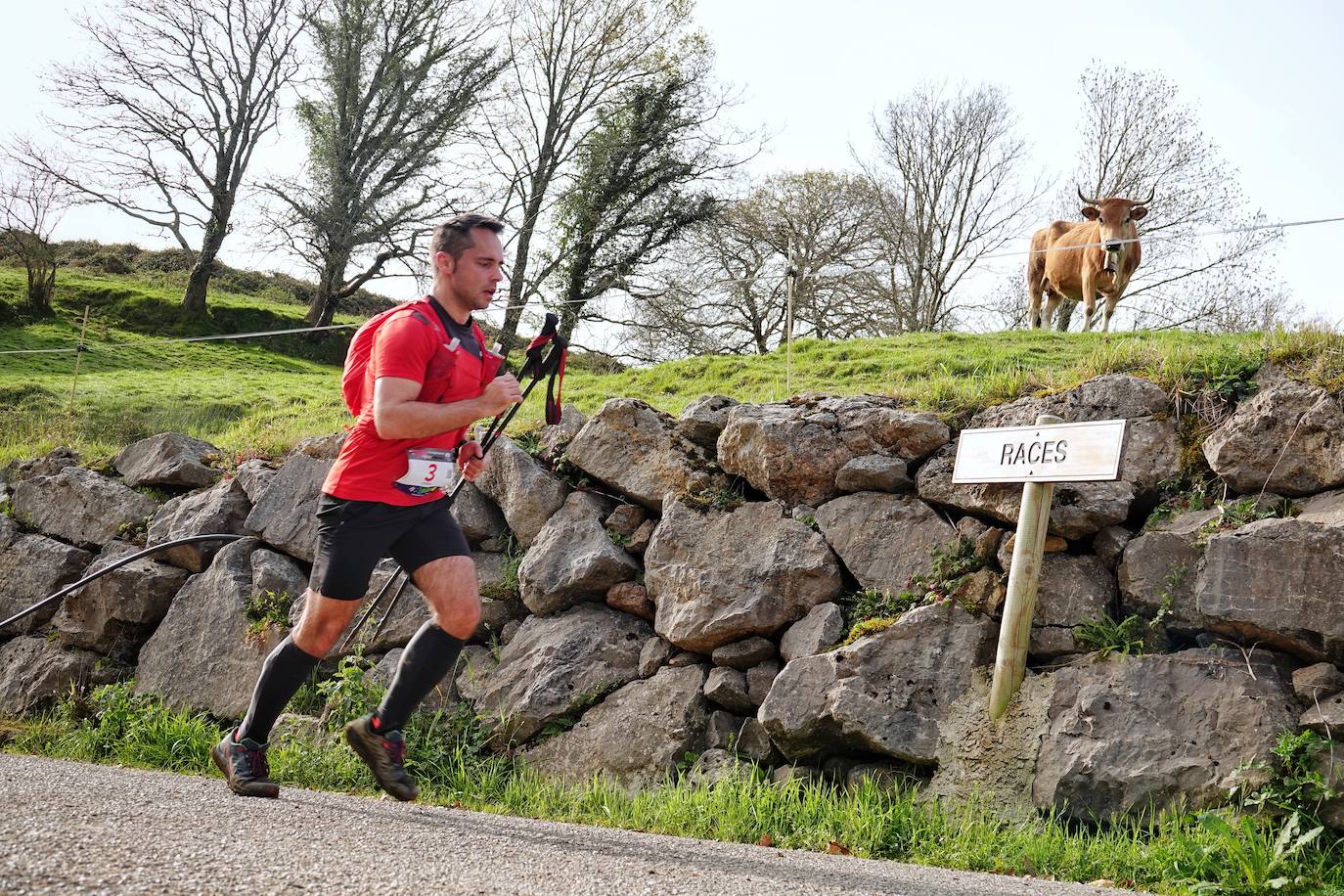 Sin duda, una de las cumbres más visitadas y más accesibles de Asturias es la ruta al PIcu Pienzu, donde centenares de personas participaron en la carrera de su subida. Comienza como un paseo de dos kilómetros llanos por pastos de montaña, en los que tenemos vistas a la costa, por un lado, y, por otro, a Arriondas y los Picos de Europa, entre otras impresionantes vistas de montaña que deja su recorrido.