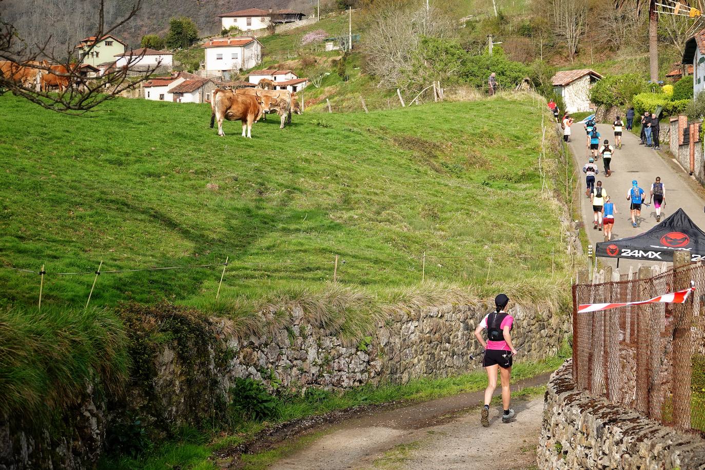 Sin duda, una de las cumbres más visitadas y más accesibles de Asturias es la ruta al PIcu Pienzu, donde centenares de personas participaron en la carrera de su subida. Comienza como un paseo de dos kilómetros llanos por pastos de montaña, en los que tenemos vistas a la costa, por un lado, y, por otro, a Arriondas y los Picos de Europa, entre otras impresionantes vistas de montaña que deja su recorrido.