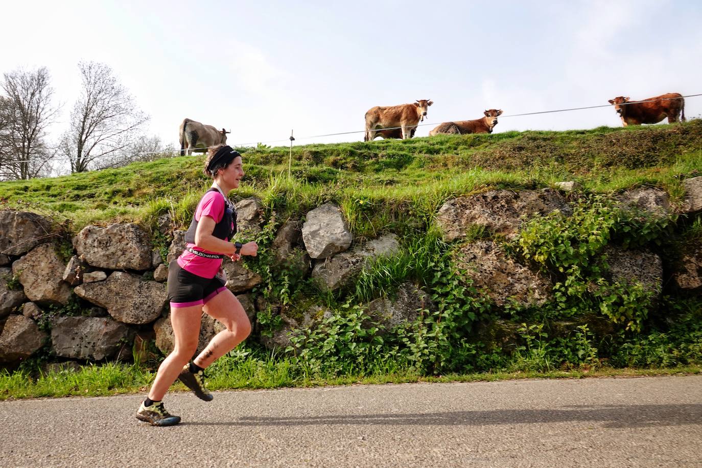 Sin duda, una de las cumbres más visitadas y más accesibles de Asturias es la ruta al PIcu Pienzu, donde centenares de personas participaron en la carrera de su subida. Comienza como un paseo de dos kilómetros llanos por pastos de montaña, en los que tenemos vistas a la costa, por un lado, y, por otro, a Arriondas y los Picos de Europa, entre otras impresionantes vistas de montaña que deja su recorrido.