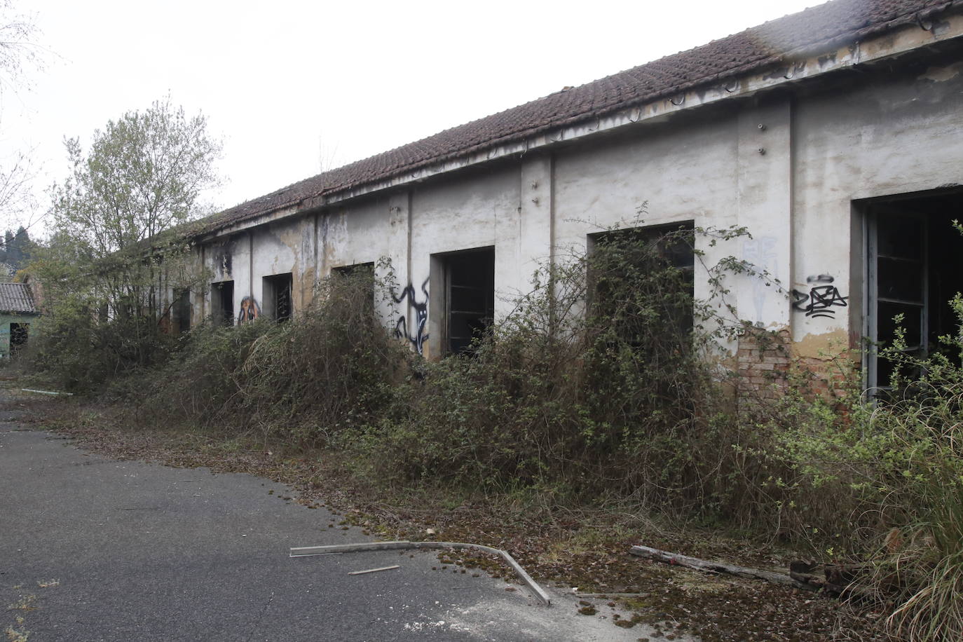 108 años de actividad. Los que fueron desde 1901 a 2009. Años donde la actividad de la Fábrica de Loza de San Claudio le valió, incluso, su reconocimiento como primer Bien de Interés Cultural de carácter industrial declarado en Asturias. La prosperidad dio paso al declive. Tras él llegó el cierre y un estado de abandono que ha convertido la zona en un foco de insalubridad e incidentes continuos.