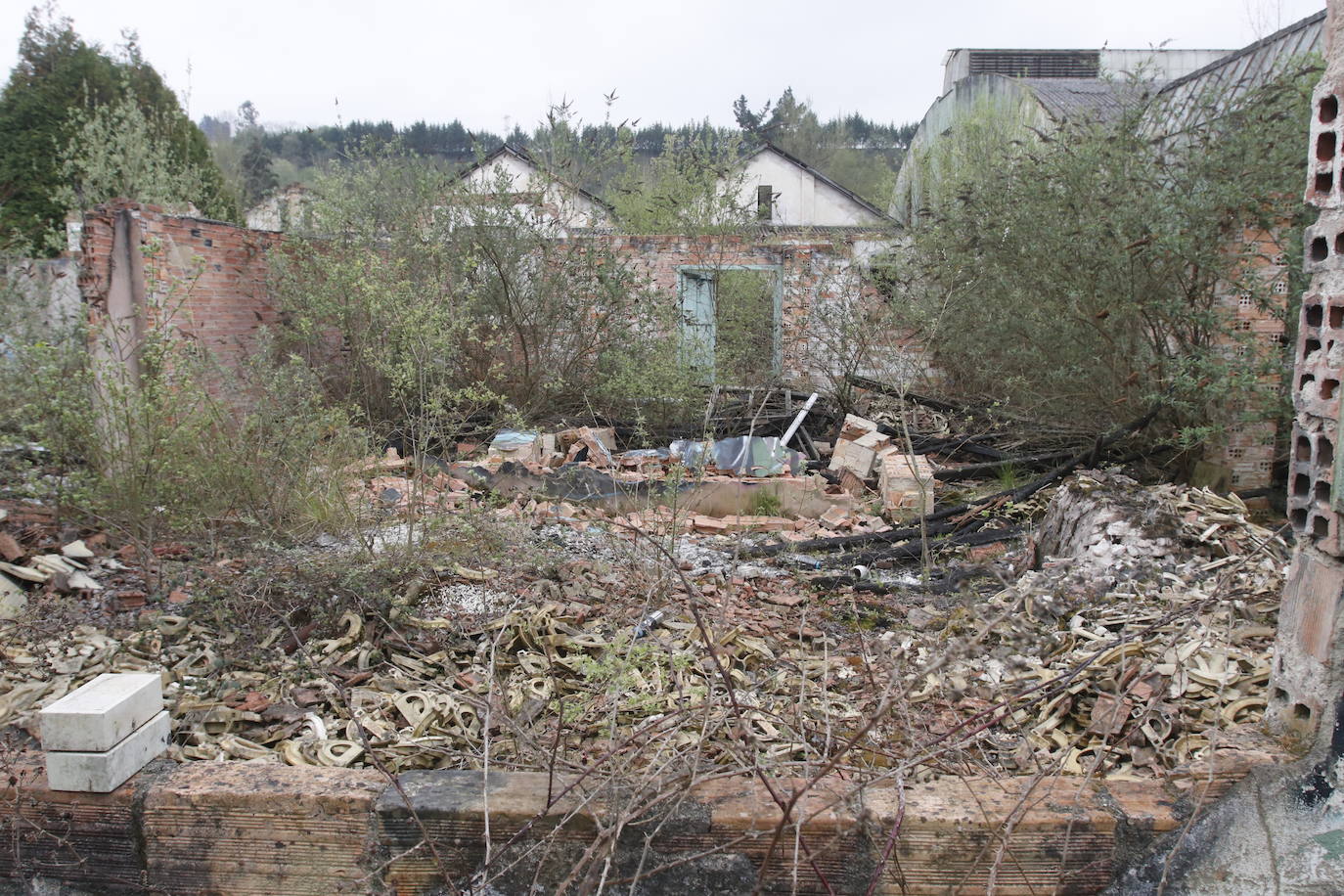 108 años de actividad. Los que fueron desde 1901 a 2009. Años donde la actividad de la Fábrica de Loza de San Claudio le valió, incluso, su reconocimiento como primer Bien de Interés Cultural de carácter industrial declarado en Asturias. La prosperidad dio paso al declive. Tras él llegó el cierre y un estado de abandono que ha convertido la zona en un foco de insalubridad e incidentes continuos.