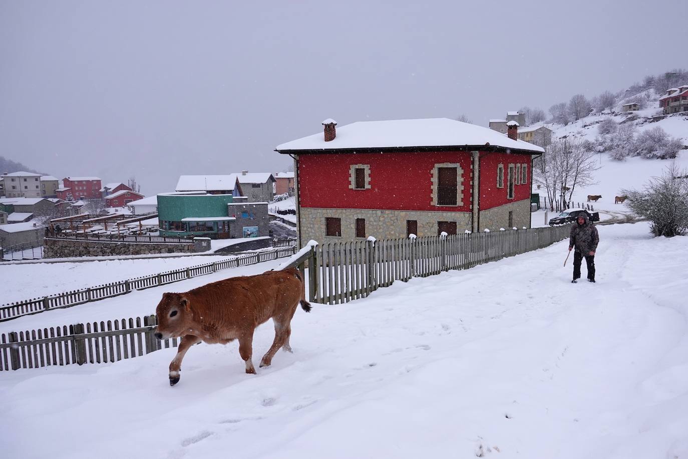 La llegada de la borrasca 'Ciril' ha devuelto el tiempo invernal a la región, con un notable descenso de las temperaturas y nieve en cotas bajas y abundantes chubascos en las ciudades asturianas