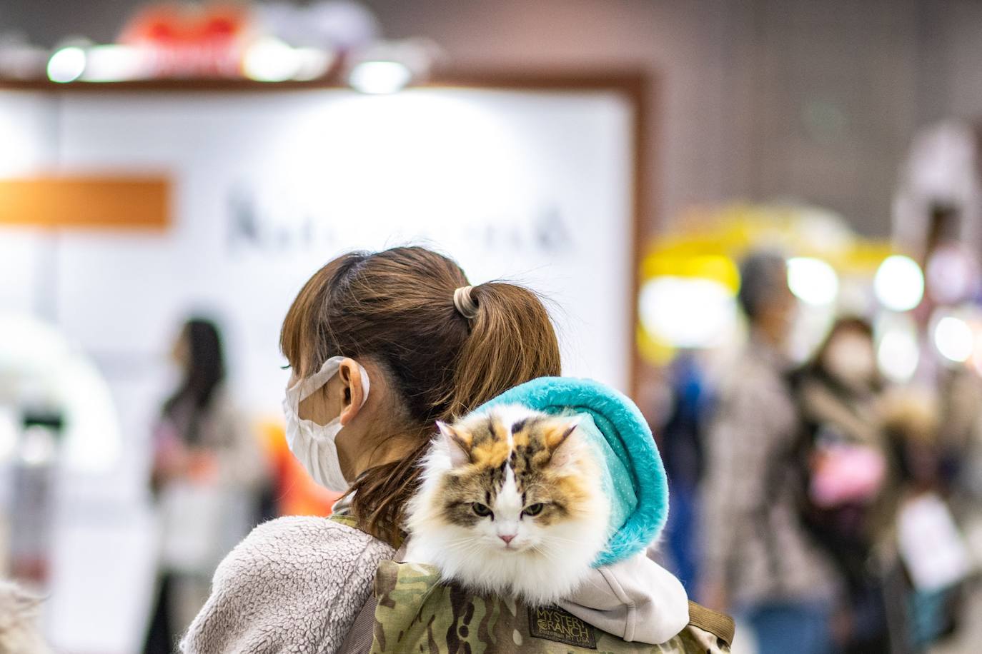 La feria internacional de mascotas 'Interpets', la más grande del sector, se celebra en Tokio, Japón este 1 de abril de 2022.