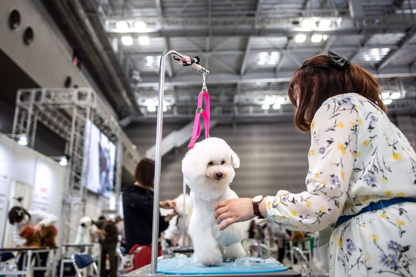 La feria internacional de mascotas 'Interpets', la más grande del sector, se celebra en Tokio, Japón este 1 de abril de 2022.