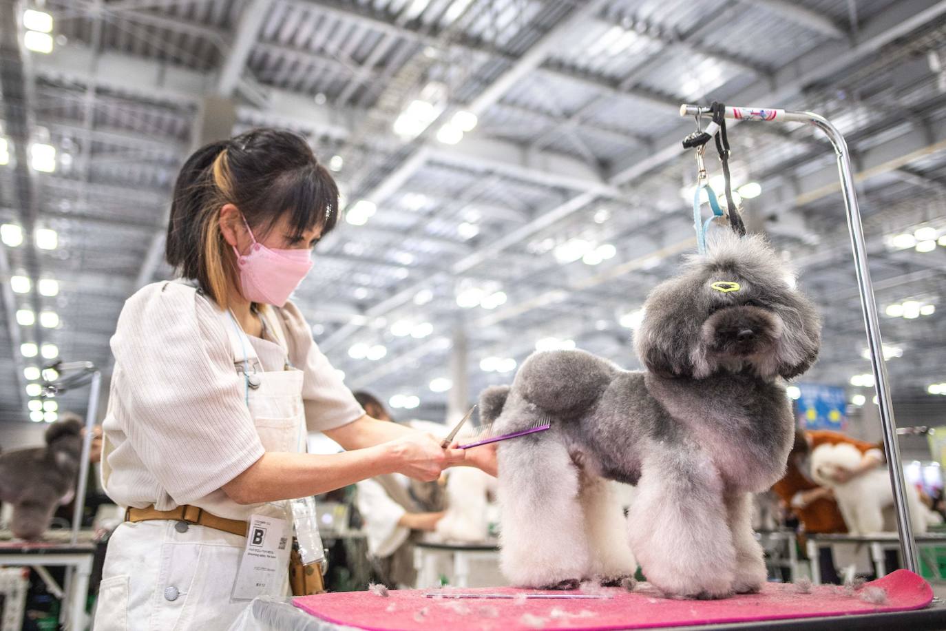 La feria internacional de mascotas 'Interpets', la más grande del sector, se celebra en Tokio, Japón este 1 de abril de 2022.