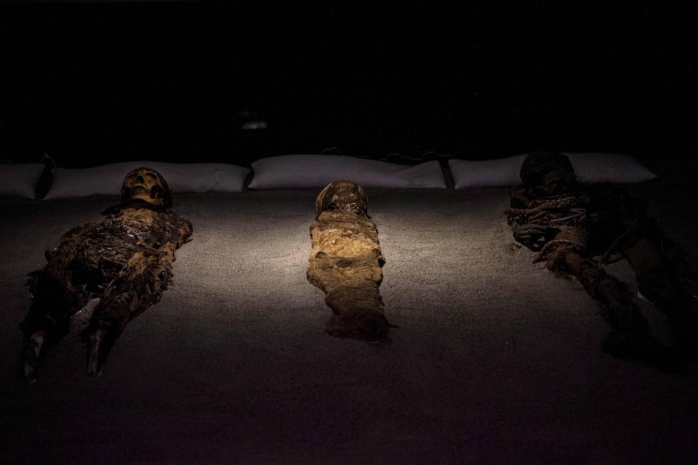 Hace más de 7.000 años, mucho antes que los egipcios, la cultura chinchorro, un pueblo de pescadores que habitaron el norte de Chile, desarrolló un sistema artificial de momificación que asombra por sus distintas técnicas y lo que revela sobre la relación con sus muertos. Las momias chinchorro, declaradas patrimonio de la humanidad por la Unesco en julio de 2021, son las más antiguas de mundo. Aunque con claras diferencias frente a las egipcias, que desarrollaron la momificación unos 2.000 años después, demuestran igualmente el avanzado dominio del cuerpo humano por parte de uno de los pueblos más primitivos de los que se tenga registro. Por su antigüedad no ha sido posible extraer el ADN de los cuerpos, lo que dificulta a los científicos conocer más antecedentes de esta cultura. Para seguir con las investigaciones, se va a construir un museo que exhibirá y conservará las más de 2.500 piezas arqueológicas y etnográficas.