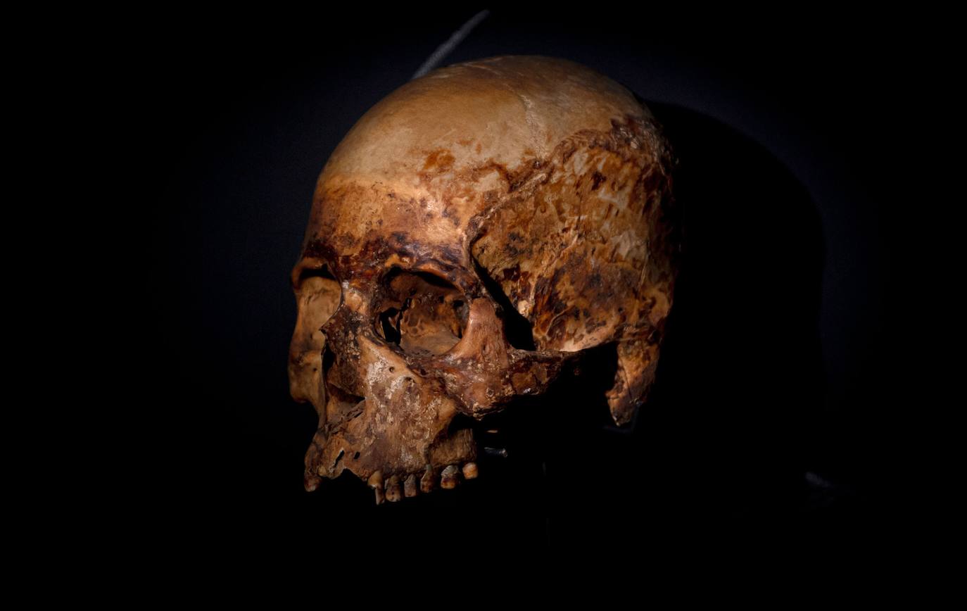 Hace más de 7.000 años, mucho antes que los egipcios, la cultura chinchorro, un pueblo de pescadores que habitaron el norte de Chile, desarrolló un sistema artificial de momificación que asombra por sus distintas técnicas y lo que revela sobre la relación con sus muertos. Las momias chinchorro, declaradas patrimonio de la humanidad por la Unesco en julio de 2021, son las más antiguas de mundo. Aunque con claras diferencias frente a las egipcias, que desarrollaron la momificación unos 2.000 años después, demuestran igualmente el avanzado dominio del cuerpo humano por parte de uno de los pueblos más primitivos de los que se tenga registro. Por su antigüedad no ha sido posible extraer el ADN de los cuerpos, lo que dificulta a los científicos conocer más antecedentes de esta cultura. Para seguir con las investigaciones, se va a construir un museo que exhibirá y conservará las más de 2.500 piezas arqueológicas y etnográficas.