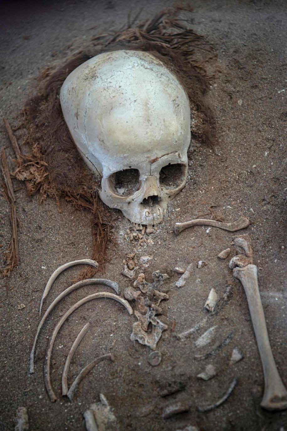 Hace más de 7.000 años, mucho antes que los egipcios, la cultura chinchorro, un pueblo de pescadores que habitaron el norte de Chile, desarrolló un sistema artificial de momificación que asombra por sus distintas técnicas y lo que revela sobre la relación con sus muertos. Las momias chinchorro, declaradas patrimonio de la humanidad por la Unesco en julio de 2021, son las más antiguas de mundo. Aunque con claras diferencias frente a las egipcias, que desarrollaron la momificación unos 2.000 años después, demuestran igualmente el avanzado dominio del cuerpo humano por parte de uno de los pueblos más primitivos de los que se tenga registro. Por su antigüedad no ha sido posible extraer el ADN de los cuerpos, lo que dificulta a los científicos conocer más antecedentes de esta cultura. Para seguir con las investigaciones, se va a construir un museo que exhibirá y conservará las más de 2.500 piezas arqueológicas y etnográficas.