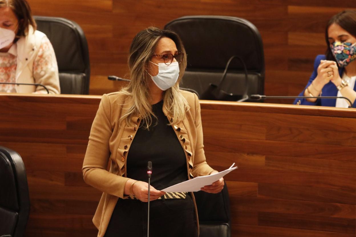 Rita Camblor, ayer, durante su intervención en la Junta General. 