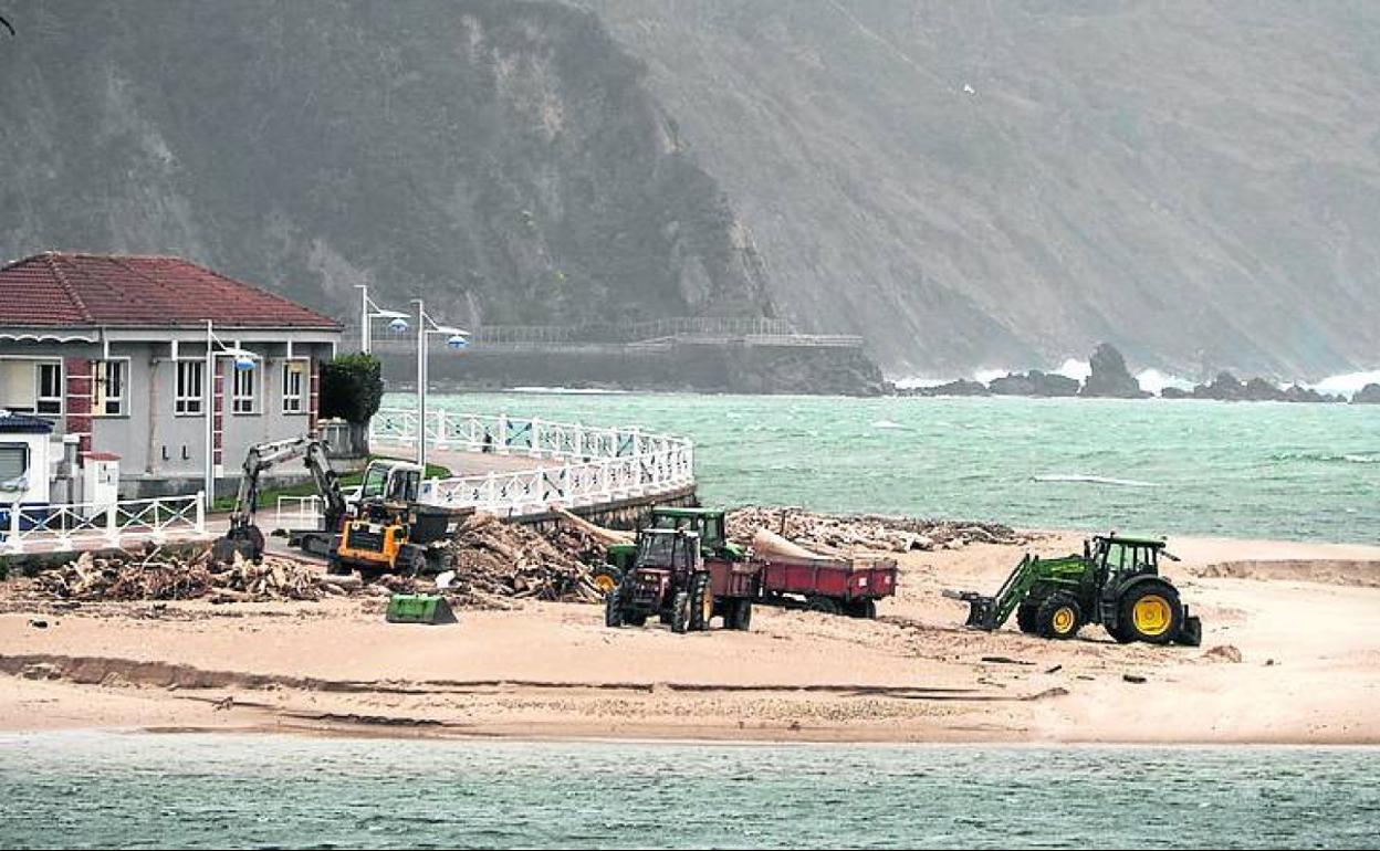 Maquinaria en las primeras tareas de limpieza de Santa Marina. 