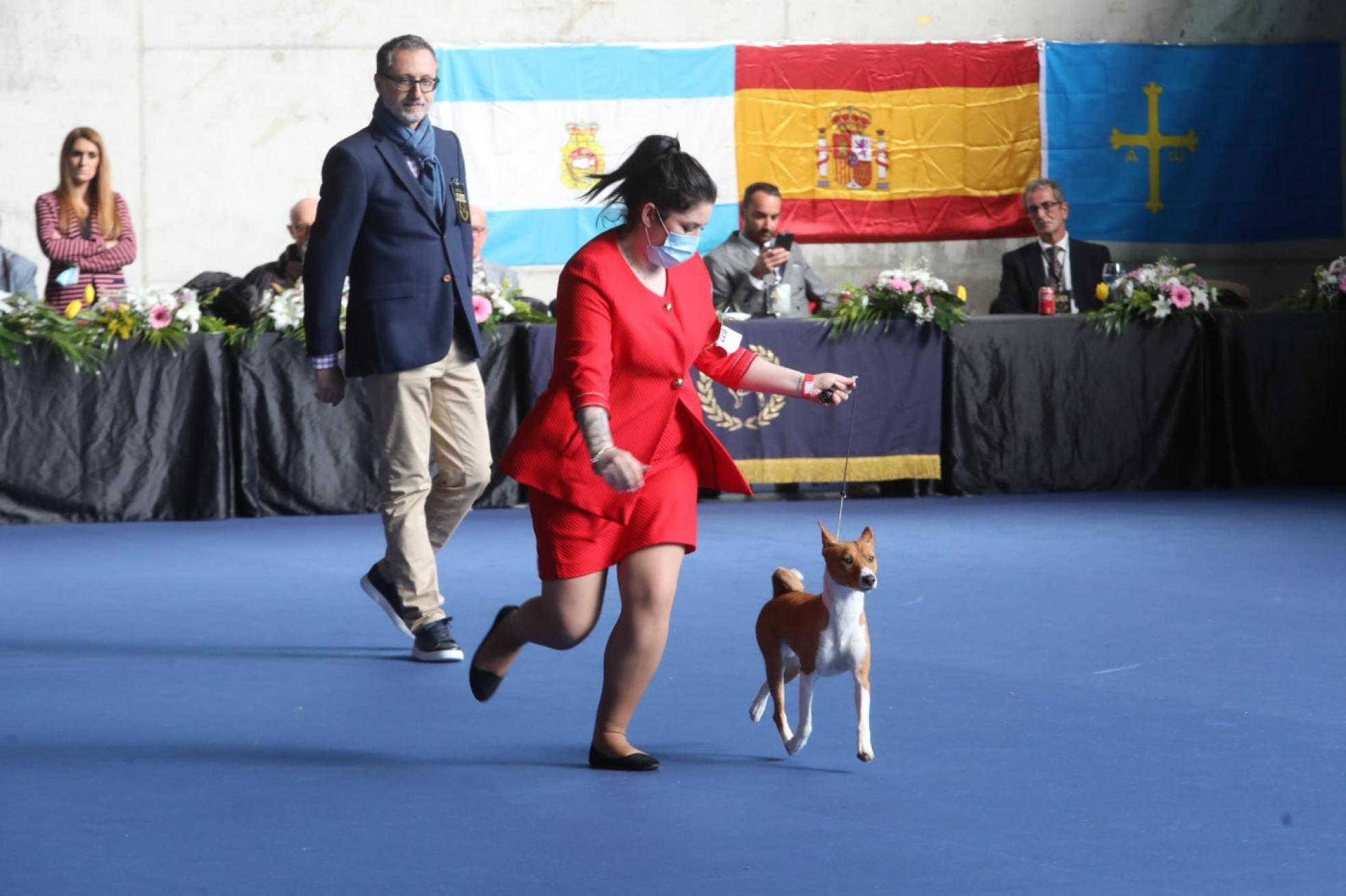 Concursos. Al nacional de ayer le sigue hoy una cita internacional 
