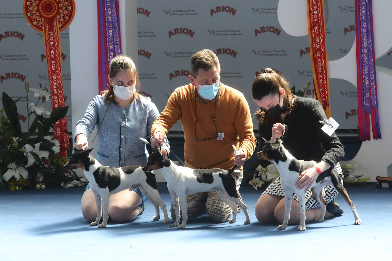 Quinientos animales acuden al pabellón de exposiciones de La Magdalena en una feria que aspira a seguir creciendo.