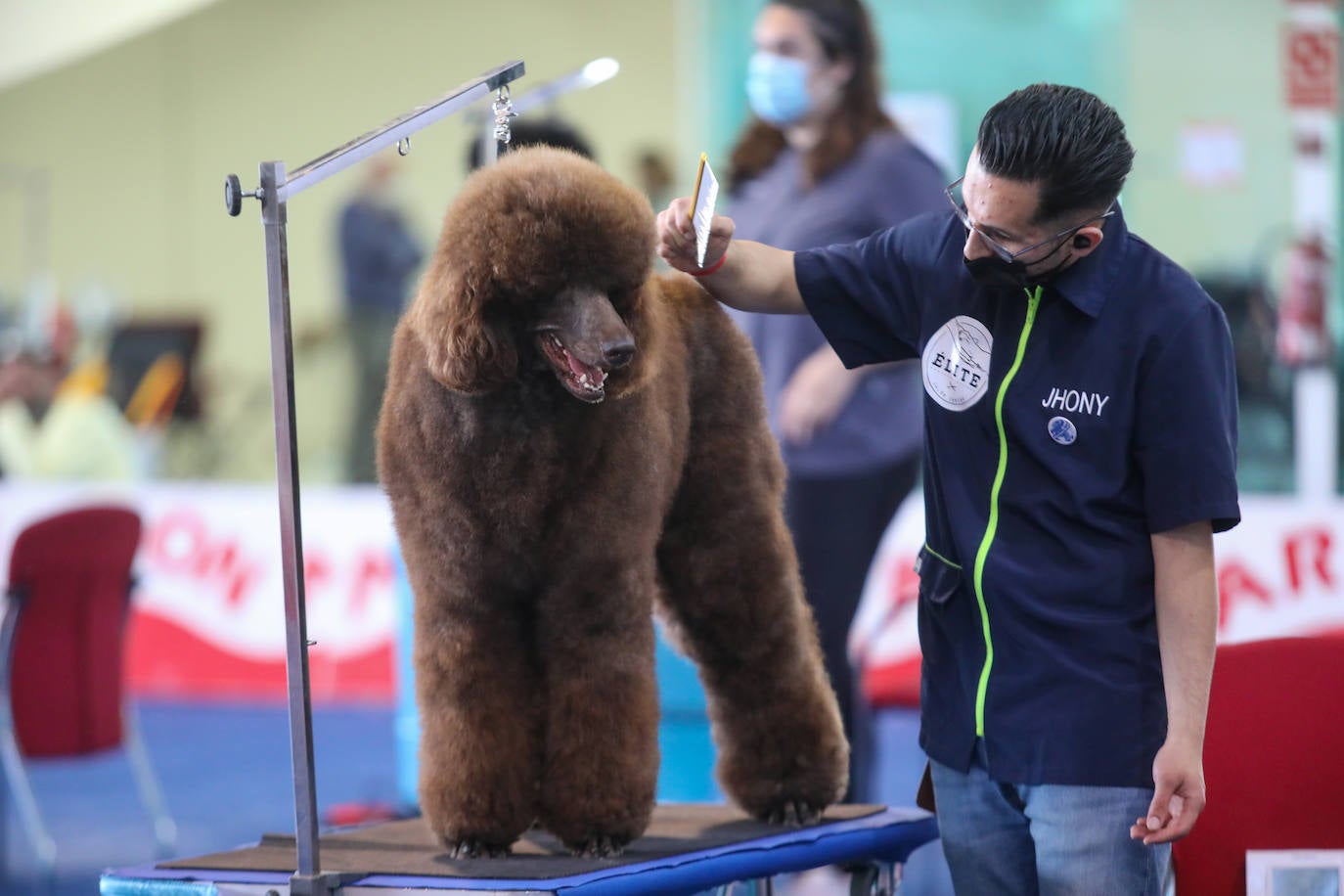 Quinientos animales acuden al pabellón de exposiciones de La Magdalena en una feria que aspira a seguir creciendo.