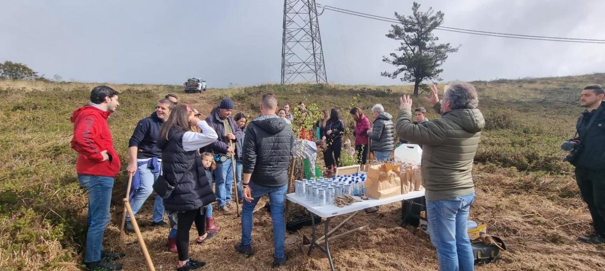 La empresa Bosquia y GAM plantaron árboles en Romió..