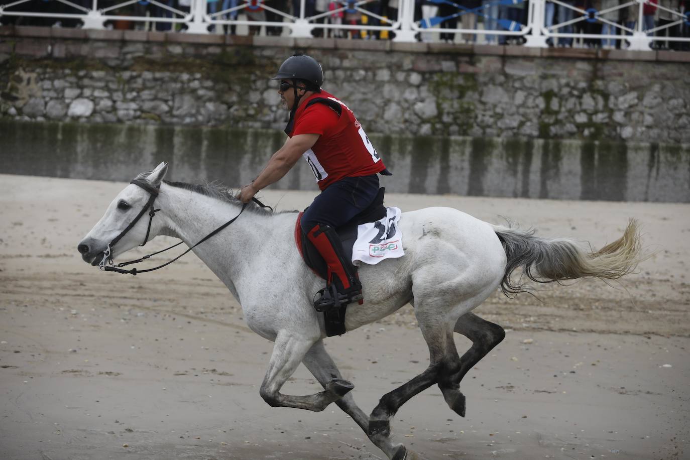 Tras dos años de parón debido a la pandemia, la playa riosellana de Santa Marina vuelve a ser el escenario de la 31 edición de las Carreras de Caballos. Las dos competiciones ecuestres que se celebran este viernes y el sábado cuentan con la participación de más de una treintena de caballos procedentes de Asturias, Galicia, Cantabria y País Vasco. Una prueba hípica de referencia en el norte de España y declarada de interés turístico regional.