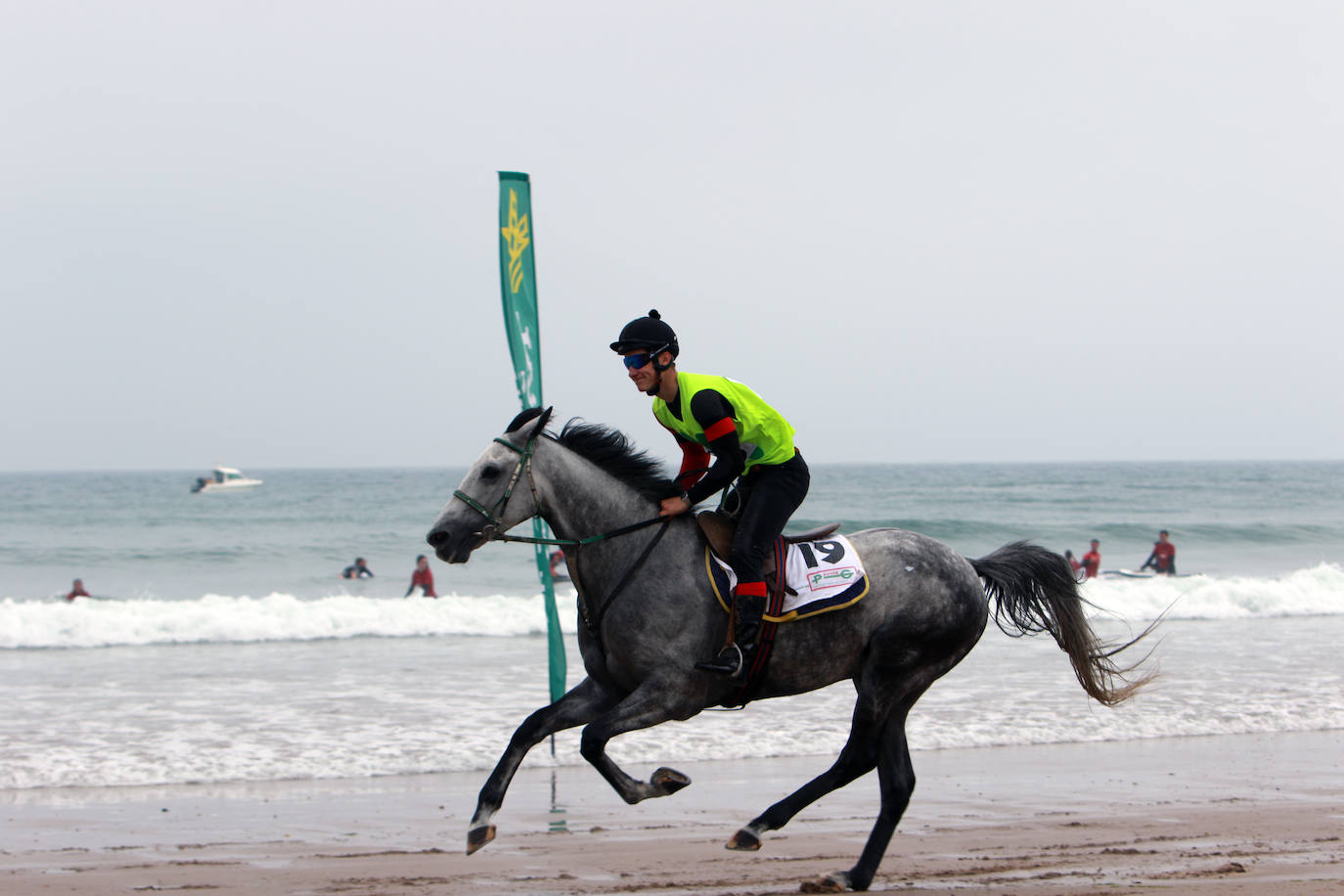 La playa de Santa Marina ha vuelto a llenarse de las Carreras de Caballos Playa de Ribadesella. Este sábado ha servido para coronar a 'Capea' y a su jinete Manuel Revuelta García como los grandes campeones de la 31º edición al vencer en la carrera larga (2.200 m) de la Primera Categoría-Gran Premio Hostelería y Comercio de Ribadesella para cuadrúpedos Pura Sangre Inglés.