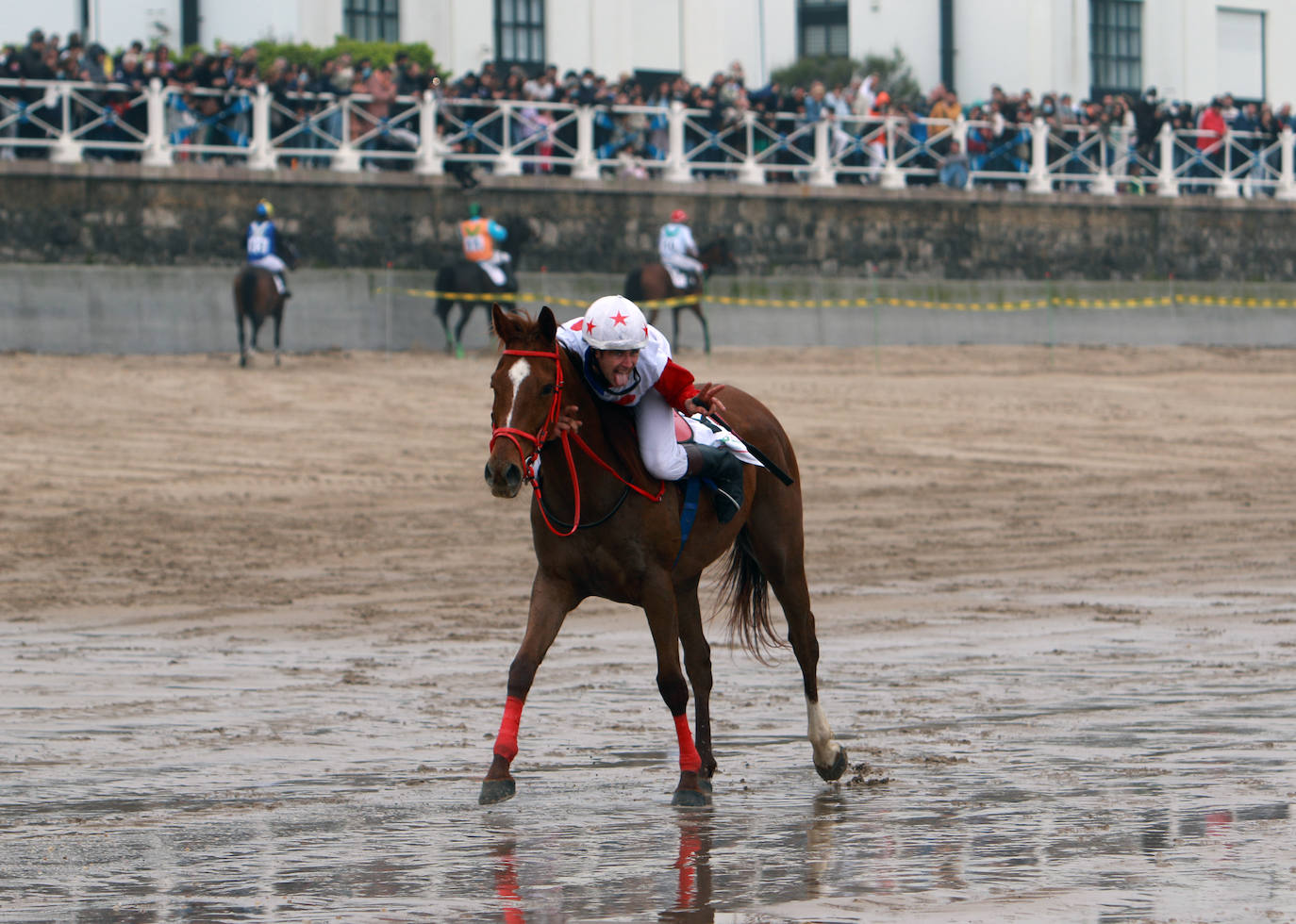 La playa de Santa Marina ha vuelto a llenarse de las Carreras de Caballos Playa de Ribadesella. Este sábado ha servido para coronar a 'Capea' y a su jinete Manuel Revuelta García como los grandes campeones de la 31º edición al vencer en la carrera larga (2.200 m) de la Primera Categoría-Gran Premio Hostelería y Comercio de Ribadesella para cuadrúpedos Pura Sangre Inglés.