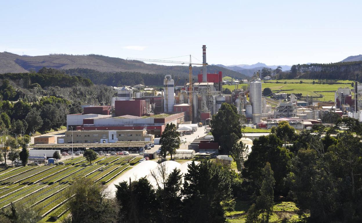 Instalaciones de la fábrica de Ence en Navia. 