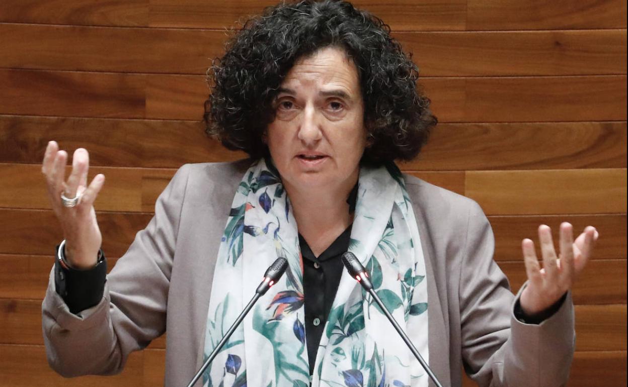 La consejera Berta Piñán, durante su intervención en el pleno de la Junta General de este martes