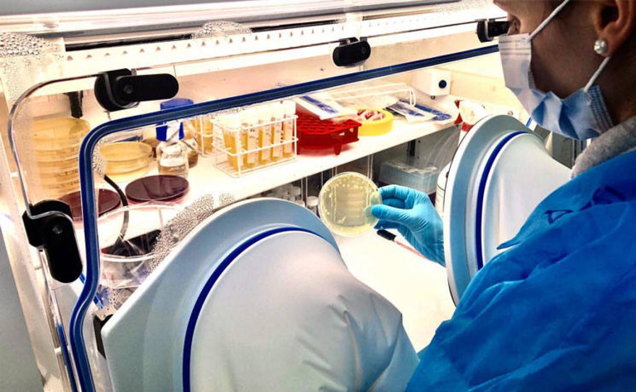 Laboratorio de Microviable Therapeutics